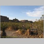 20060812_JoshuaYuccaTree_013 copia.jpg